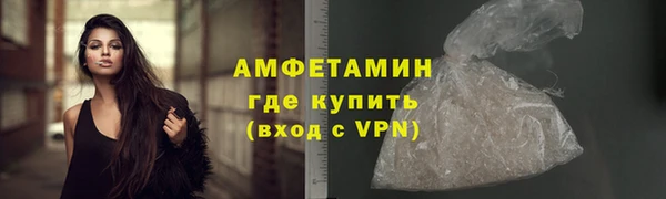 стаф Дмитров