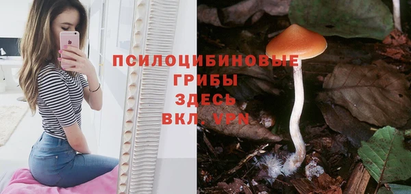 прущая мука Нязепетровск