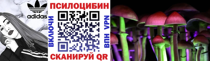 Галлюциногенные грибы GOLDEN TEACHER  Арсеньев 