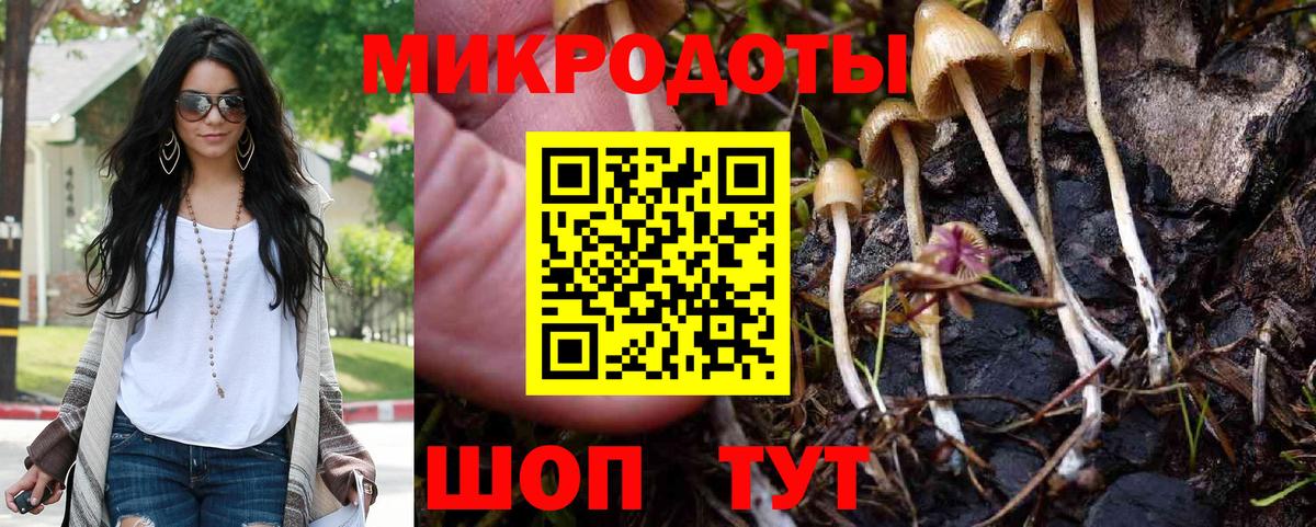 Арсеньев  Галлюциногенные грибы Psilocybe  Вход с VPN 