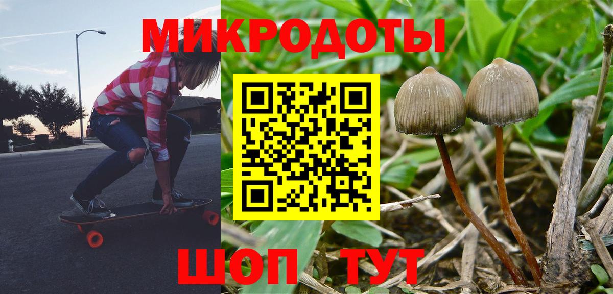 Псилоцибиновые грибы Cubensis Арсеньев