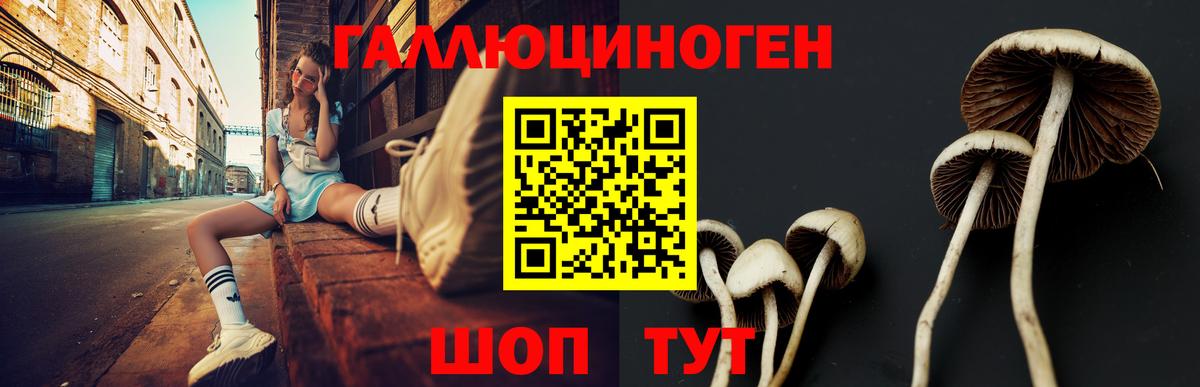 Галлюциногенные грибы GOLDEN TEACHER Арсеньев